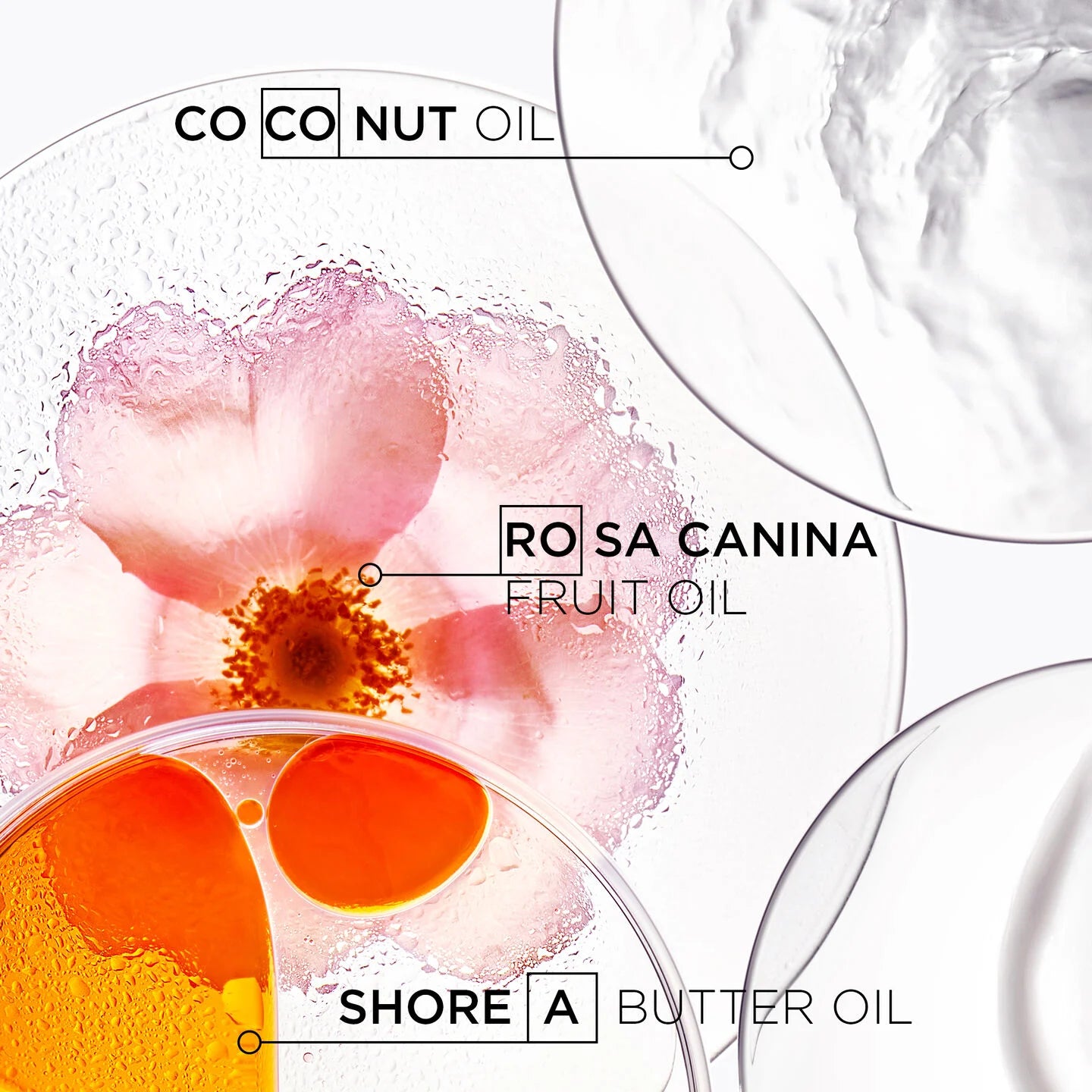 DISCIPLINE BAIN OLÉO-RELAX SHAMPOO